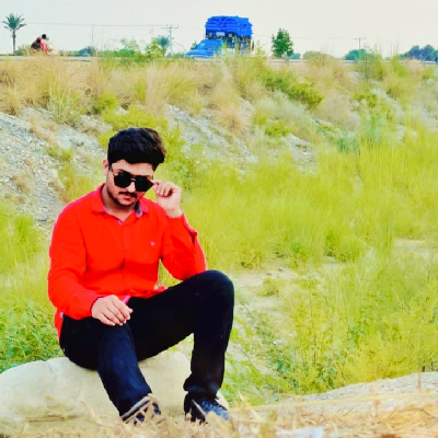 avatar of Mian Hassan Nasir janjua