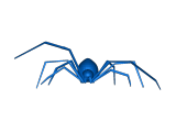 spider-0