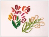 Flowers tulips-3