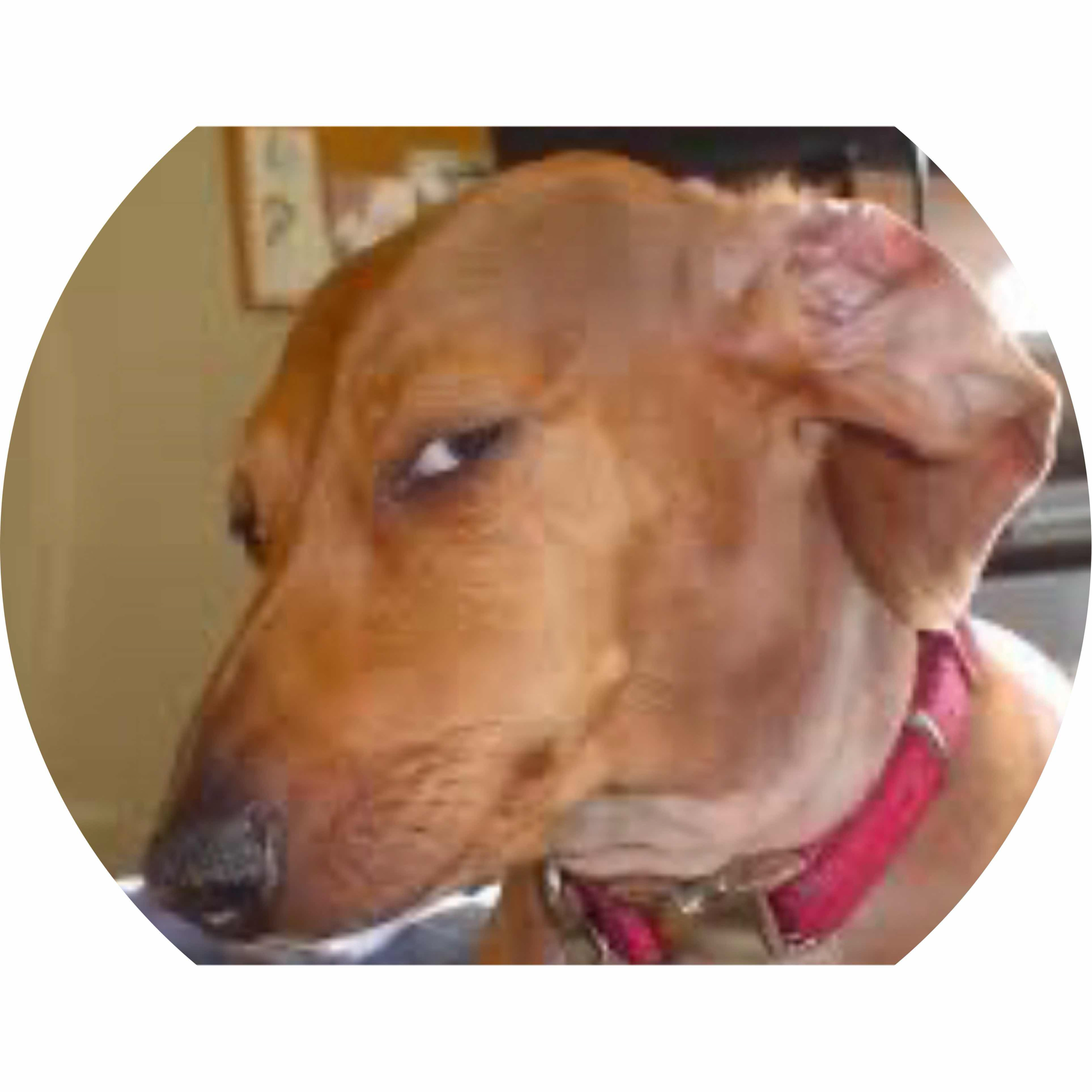 avatar of TwistedVegas 