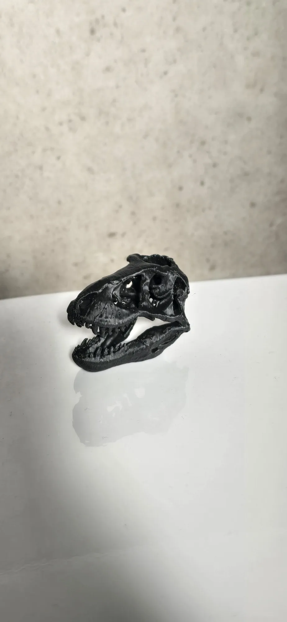 Tyrannosaurus skull（by Revopoint POP 2）-1