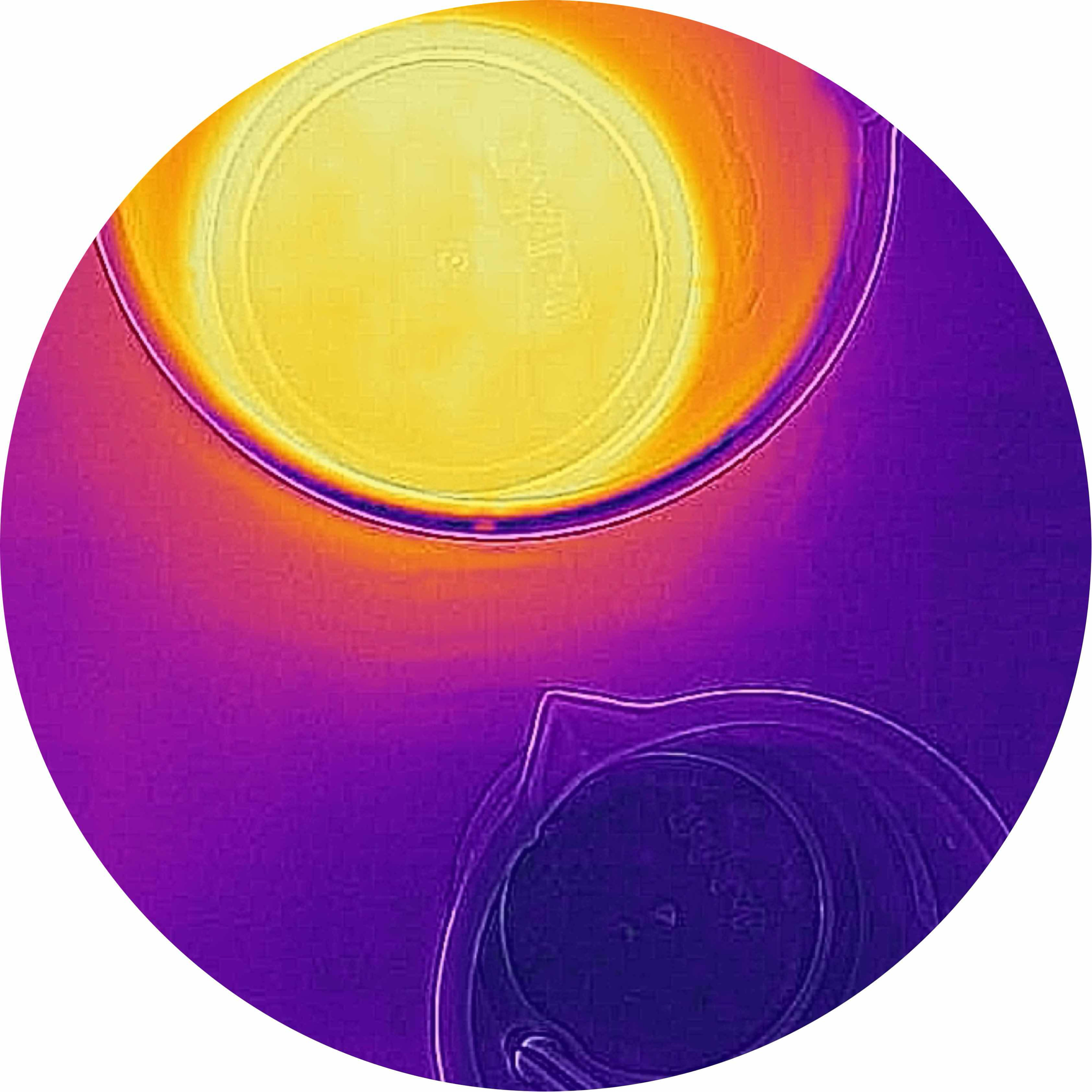 avatar of Team Venturi