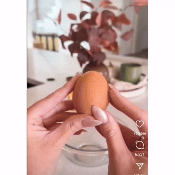 卵セパレーター