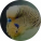 avatar of Feesh