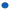 Captain Carter Shield 