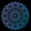avatar of Shaine