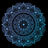 avatar of Shaine
