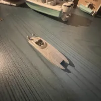 Boat speedboat  Cat Race Boat-0