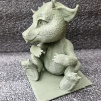 Baby Dragon-0