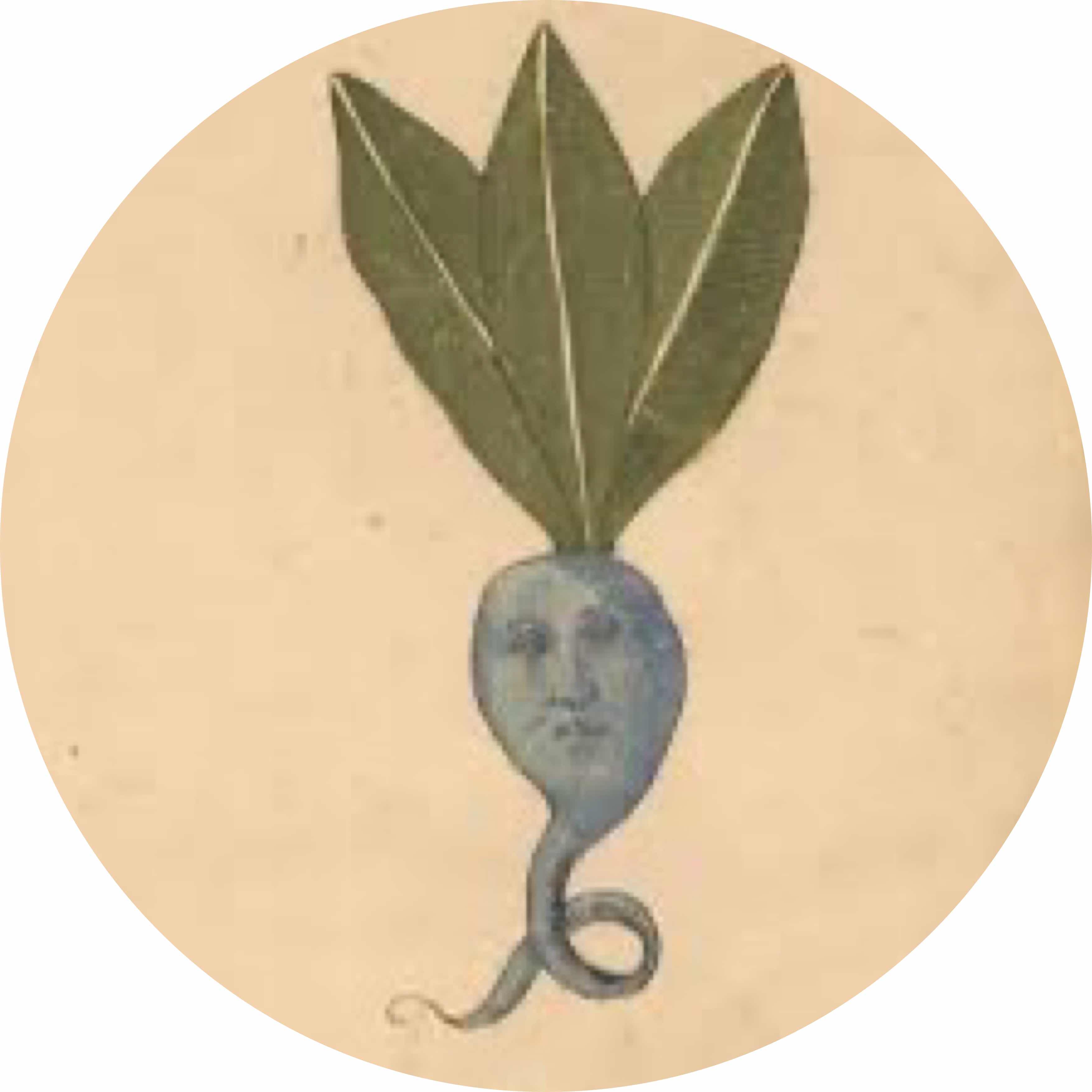 avatar of L4MU2