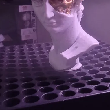 David's Cranium-1