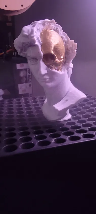 David's Cranium-1
