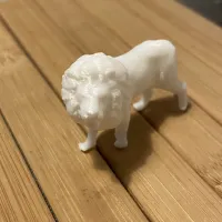 lion-1