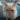 avatar of DaRkSoUl184
