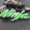 avatar of BlackHawk919
