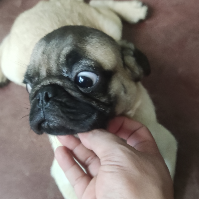 avatar of mariel redaja