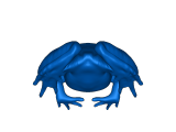 frog-0