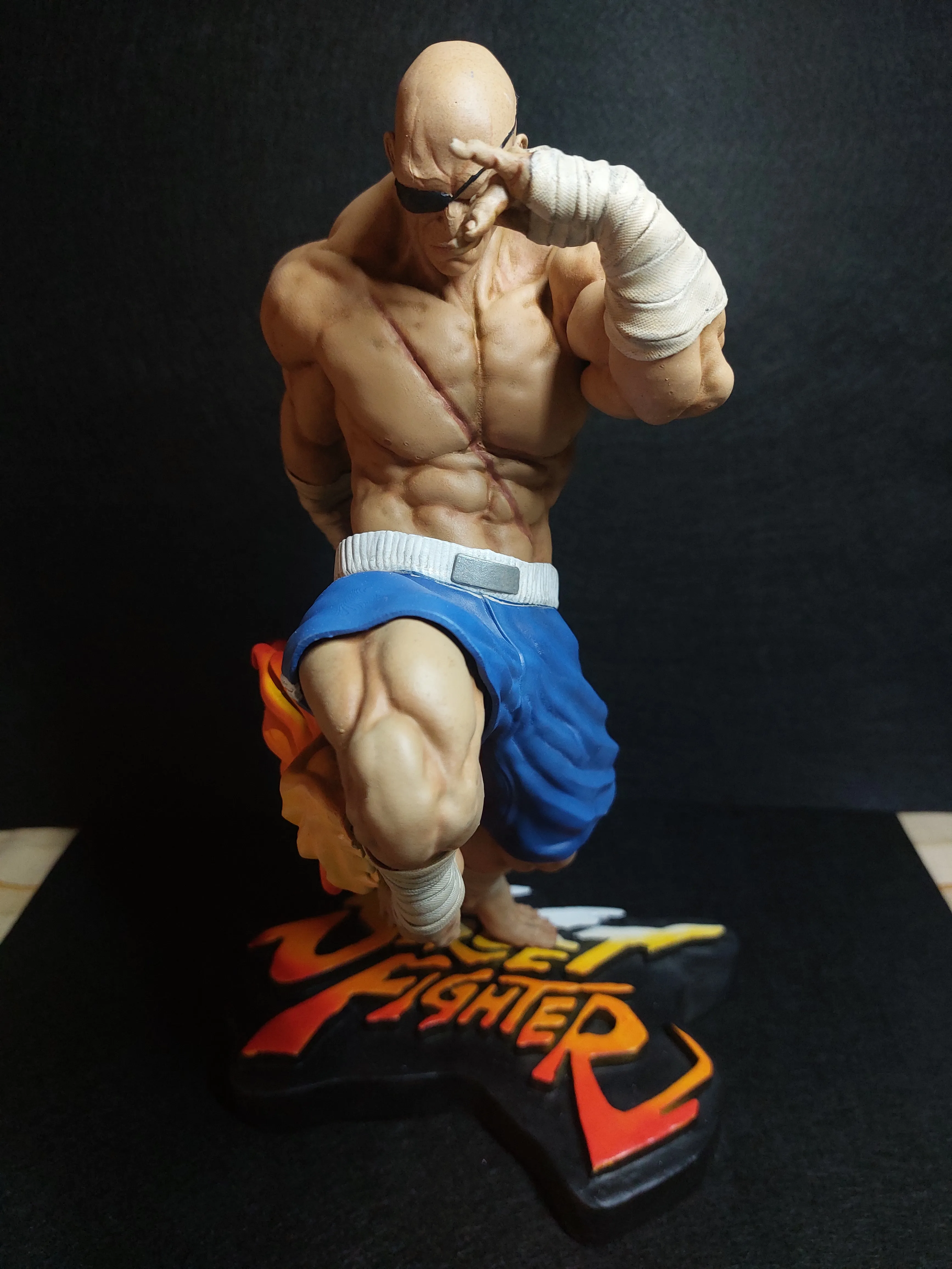 Sagat FanArt (1/6 scale)-4