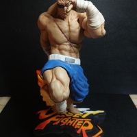 Sagat FanArt (1/6 scale)-4