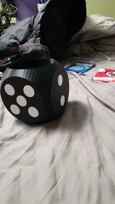 DICE FLOWER VASE-0