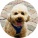avatar of Mocha20121