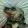 avatar of Vyn-