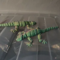 gecko_flexi-1