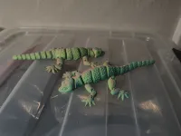 gecko_flexi-1