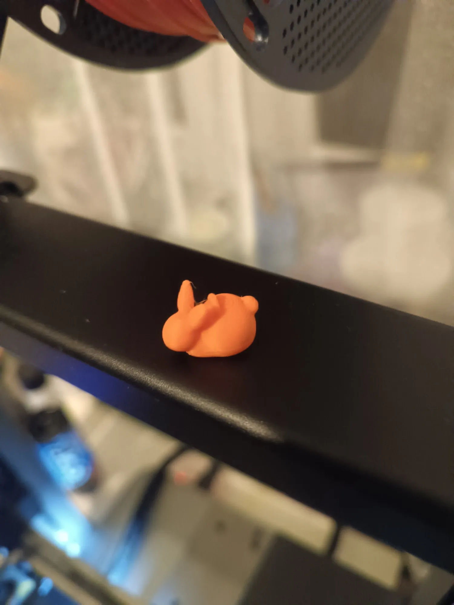 Small bunny earring-4