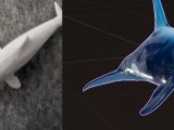 whale-0