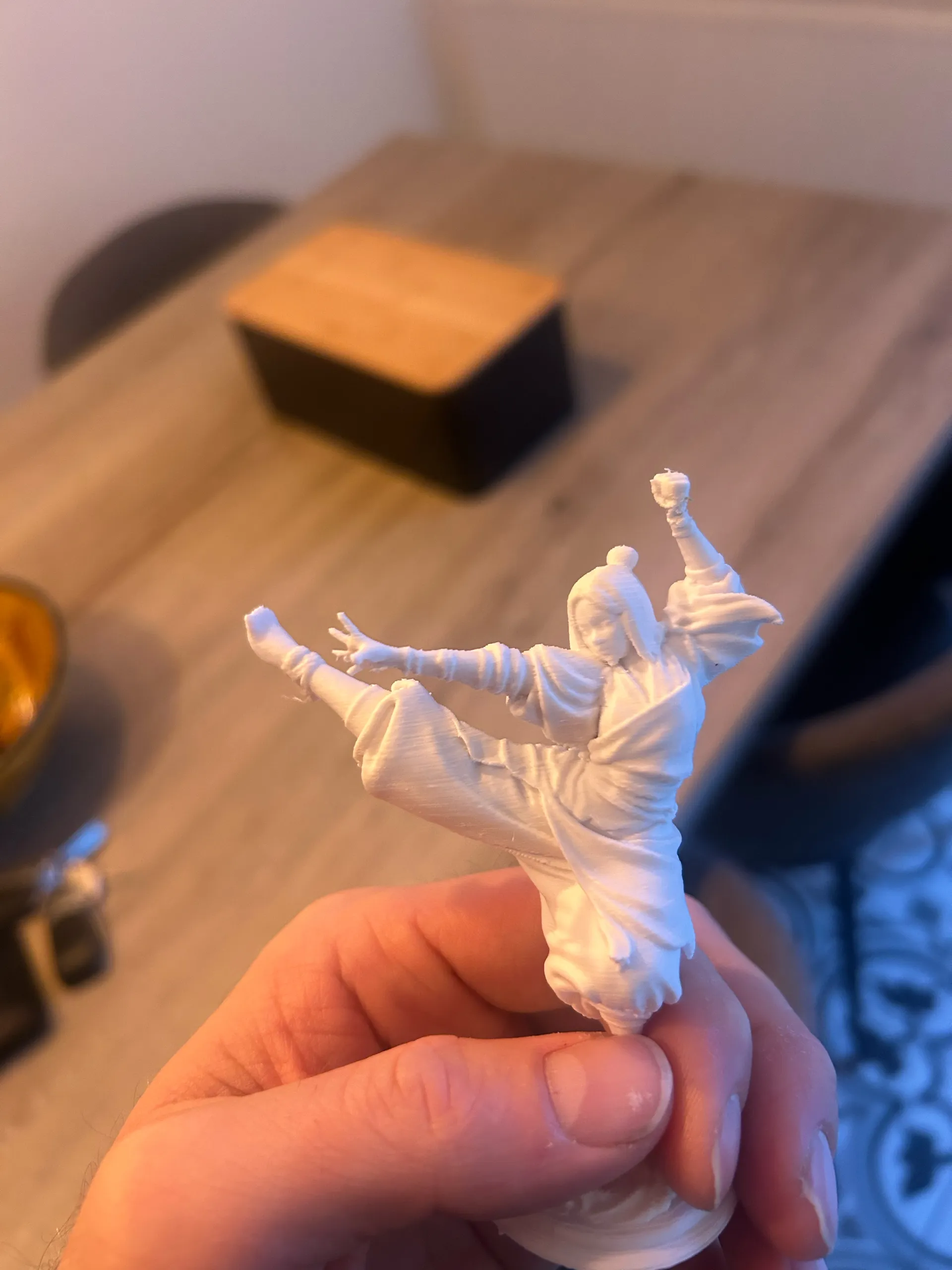 Nao - The kung Fu princes-0
