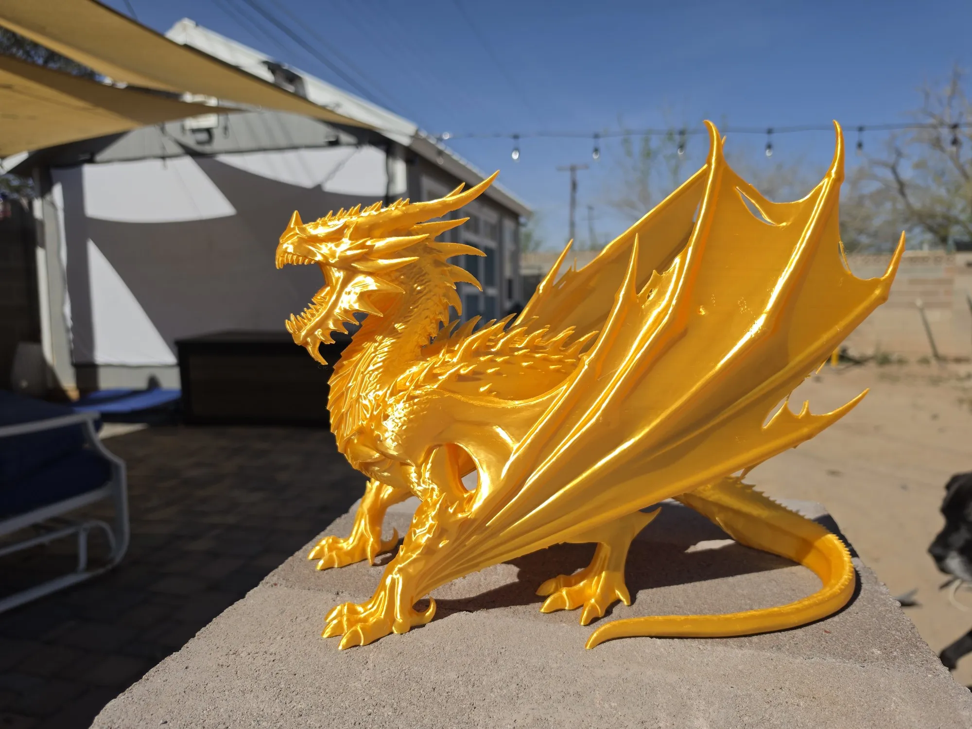 ANCIENT dragon-4