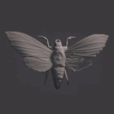 Moth Jewlery Pendant-0