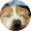 avatar of Brownsfan43138
