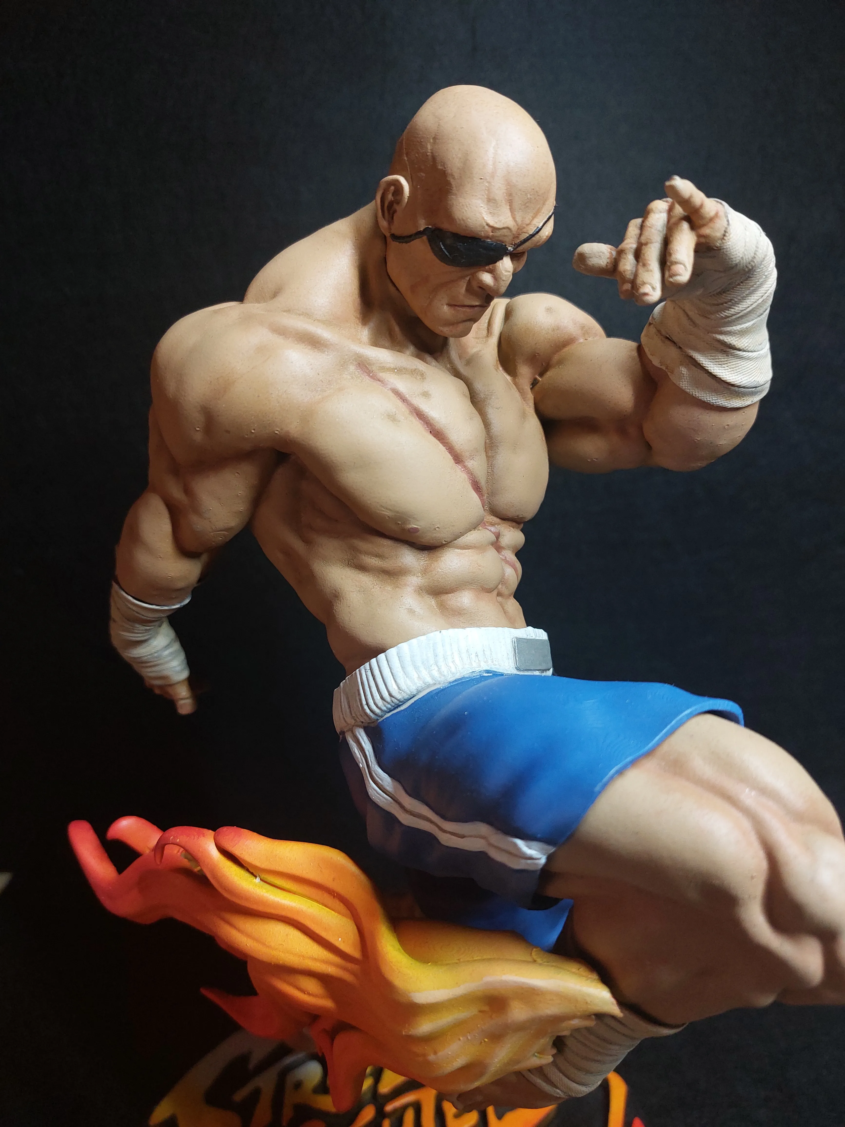 Sagat FanArt (1/6 scale)-5