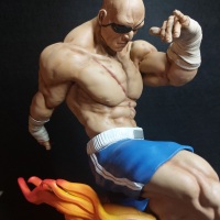 Sagat FanArt (1/6 scale)-5