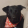 avatar of user4359304635