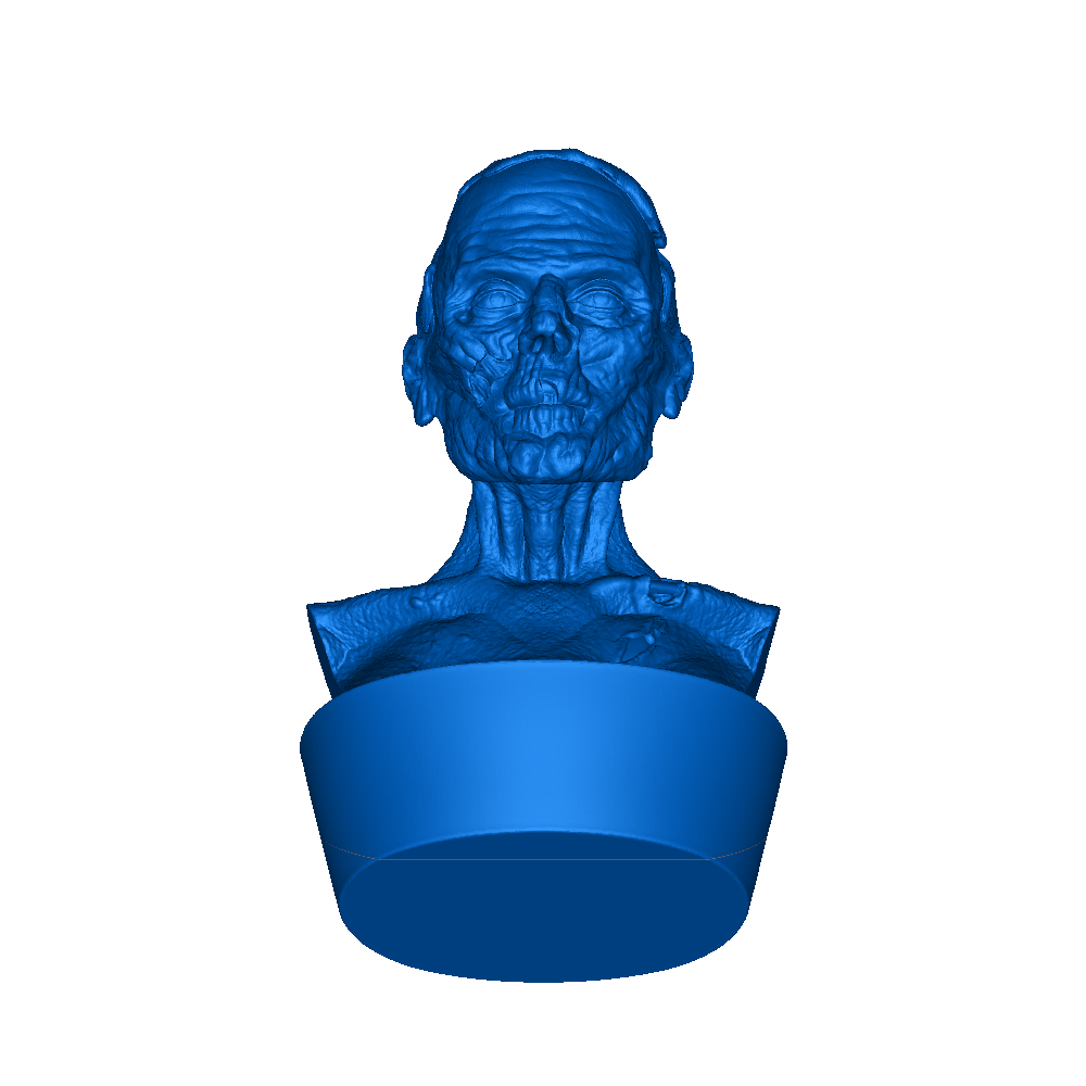 busts | 3D models download | Creality Cloud