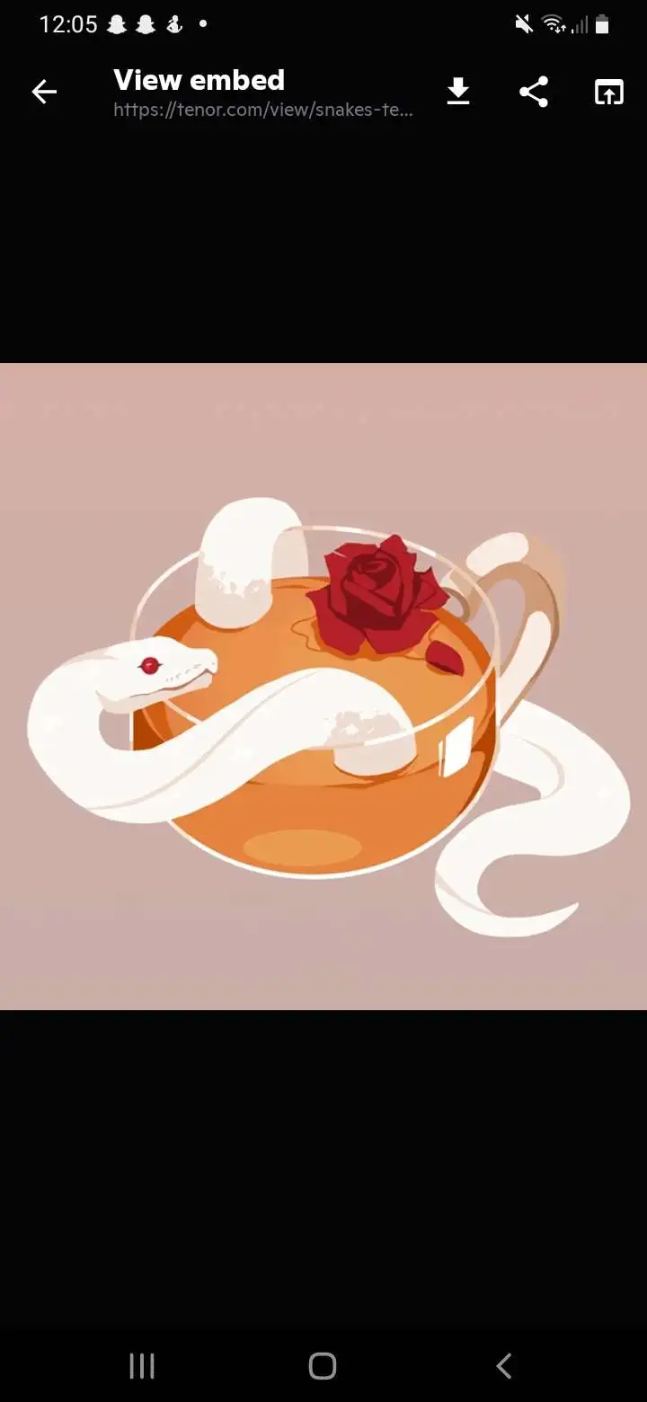 tea_snakes