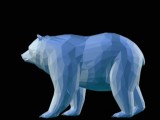 Bear-3
