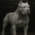 avatar of Luchucucurucho
