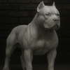 avatar of Luchucucurucho