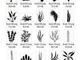 2D profiles Seaweed aquarium-1