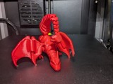 Flexi Charizard -4