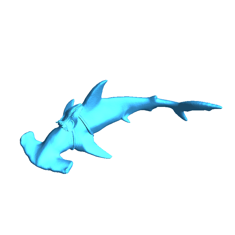 Hammerhead Shark Mount