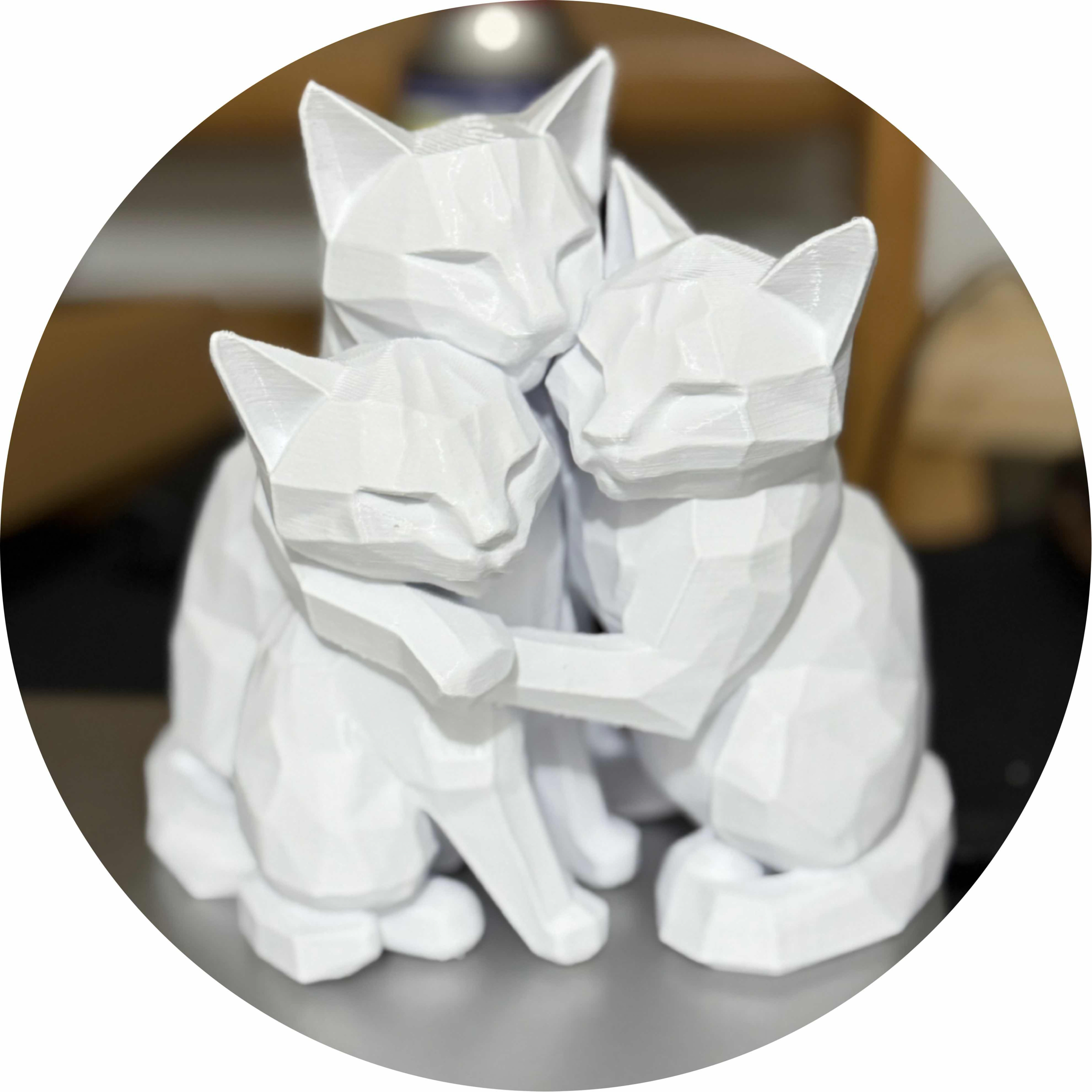avatar of MomOfCats