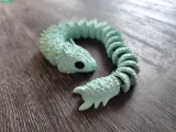 Serpente drago-3