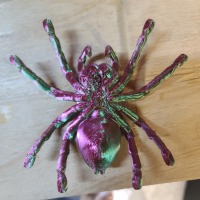 Tarantula Spider-8