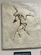 paleo printing