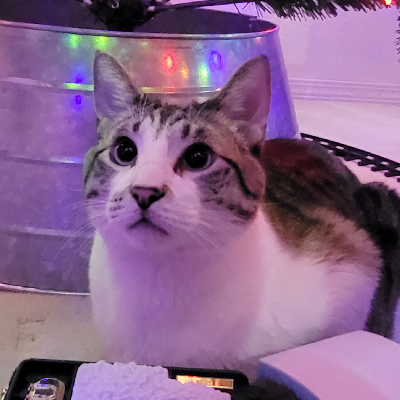 avatar of The3dPrinter